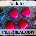 Vidalist 13